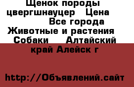 Щенок породы  цвергшнауцер › Цена ­ 30 000 - Все города Животные и растения » Собаки   . Алтайский край,Алейск г.